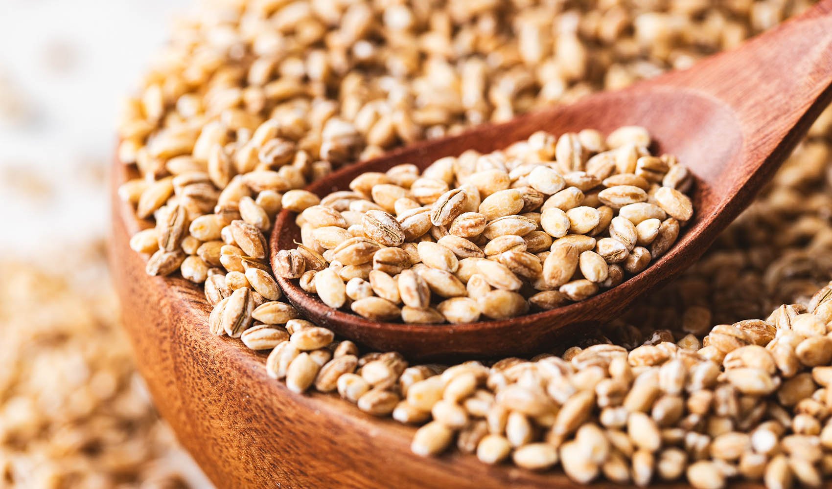 Barley