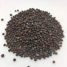 Mustard Seeds
