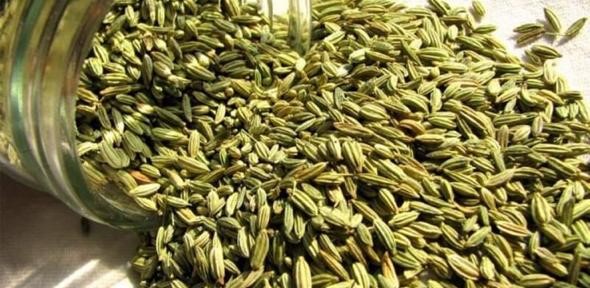 Fennel Whole