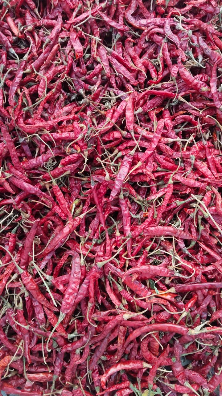 Chili Whole