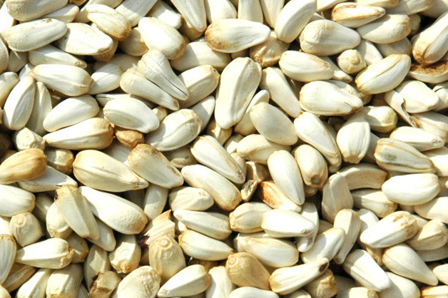 Saf Flower seed